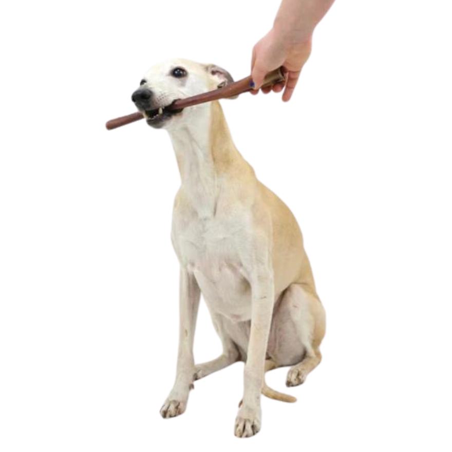 Pizzle stick dog treat best sale