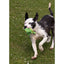 Rosewood Flingerz The ultimate Dog Fetch Toy