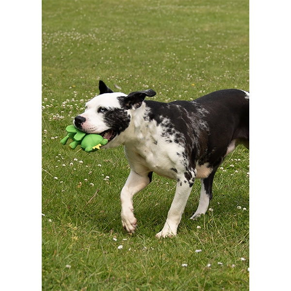 Rosewood Flingerz The ultimate Dog Fetch Toy