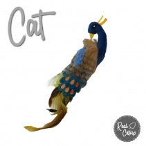 Ancol Peacock Cat Toy