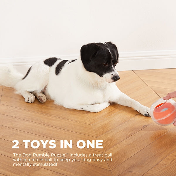 DOG RUMBLE PUZZLE TOPSY TREAT BALL Amy s Pet Supplies