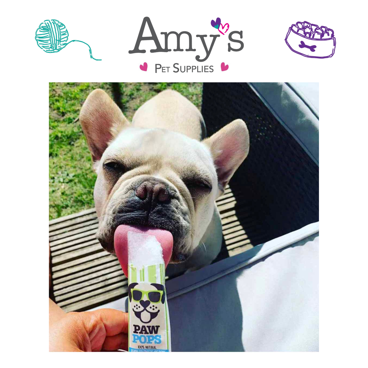 Woof & Brew Paw Pops 6 pack Ice Lollies for Dogs