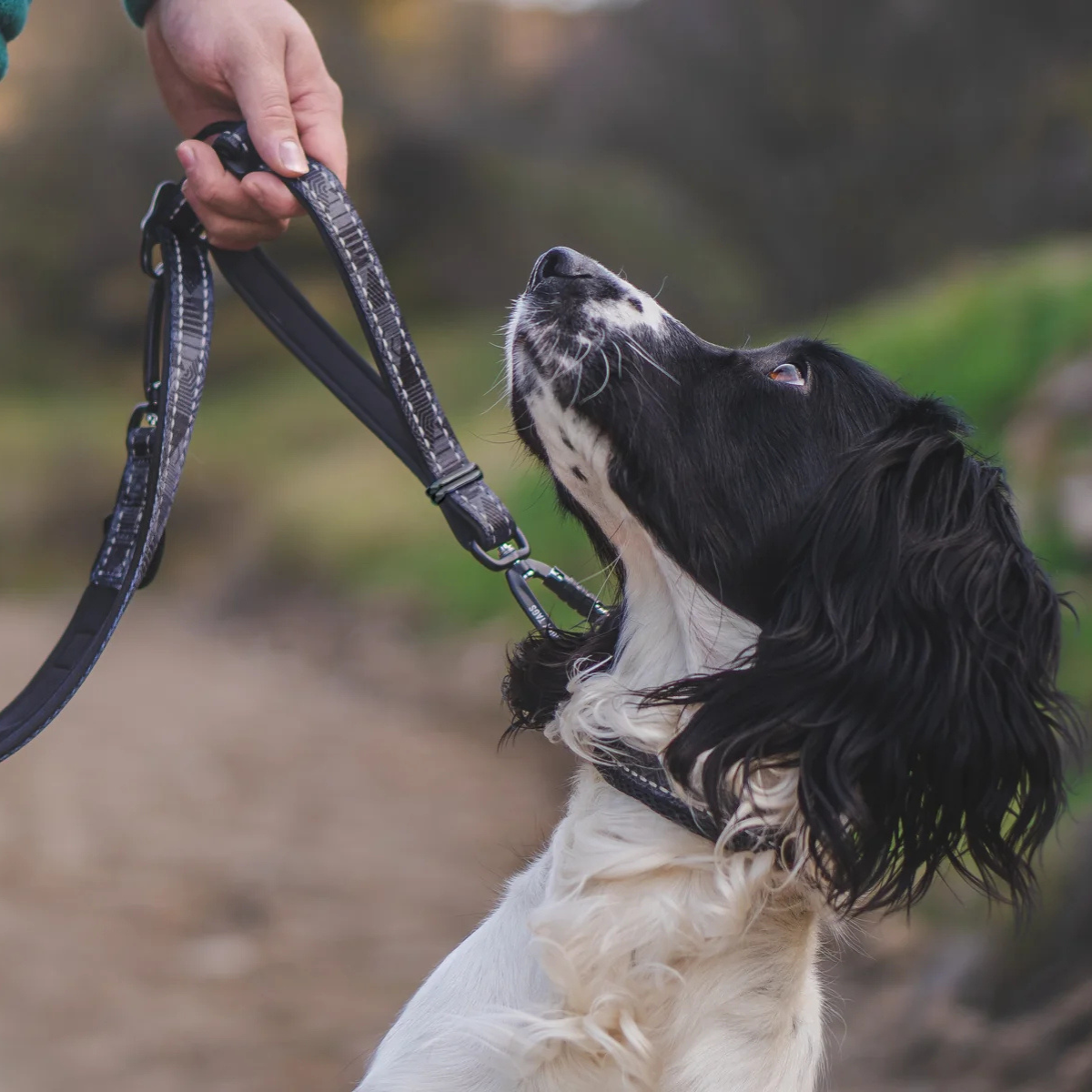 Twiggy Tags Multi-Way Lead - Onyx