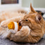 Ancol Jittery Mouse Cat Toy