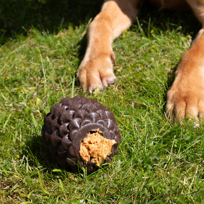 Örva Pine Cone Dog Treat Toy