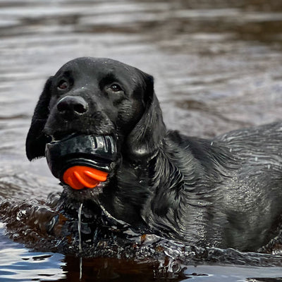 Ancol Extreme Tough Ball Dog Toy