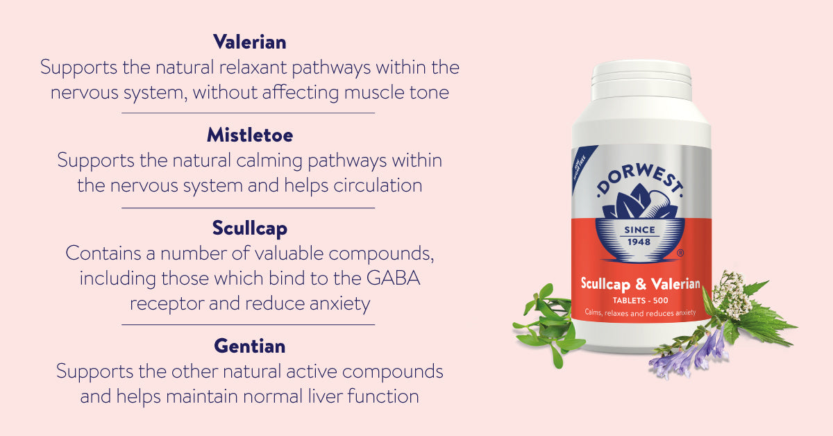 Scullcap & Valerian Tablets For Dogs And Cats