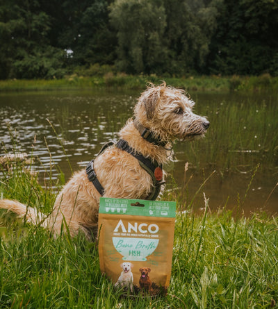 Anco Bone Broth 120g FISH