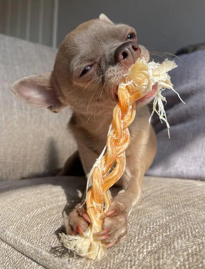 Braided Ostrich Tendon  - Natural Dog Treats