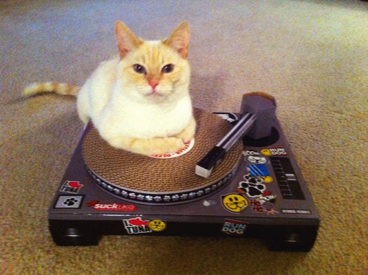 Cat playhouse hotsell scratching pad dj