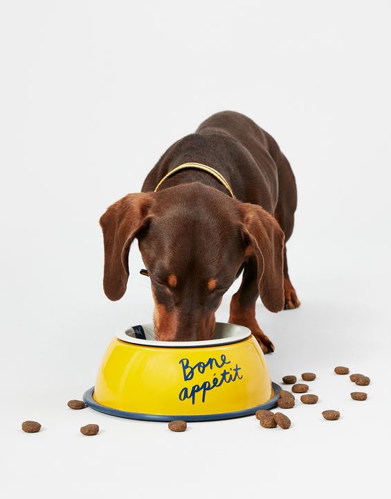 Bone appetit shop dog food