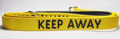 MY ANXIOUS DOG YELLOW SPACE AWARENESS LEAD "KEEP AWAY"